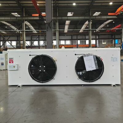 satın al DL20 Kompakt Soğuk Depo Hava Soğutucu Evaporatör online manufacture
