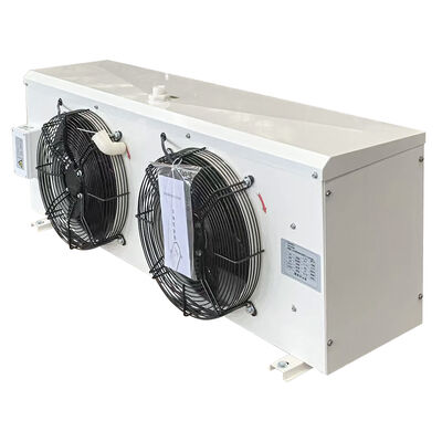 satın al RFJ Enerji tasarrufu sağlayan orta küçük gıda soğuk odası için hızlı çözme DD22 Buharlandırıcısı online manufacture