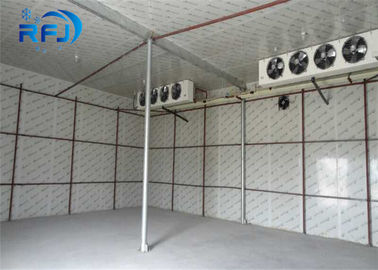 Derin Dondurucu Ticari Soğuk Oda Yürüyüşü Deniz Ürünleri İçin 380V / 3P / 50Hz Soğutucu