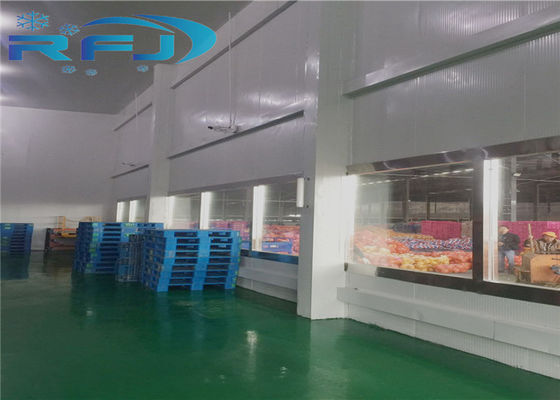 Büyük Depolama Kapasiteli Büyük Endüstriyel Soğuk Oda  / Bitzer Kompresör