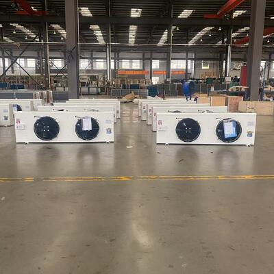 DL30 6.5kW 30㎡ Soğuk Hava Deposu için Duvara Monte Hava Soğutucu Evaporatör