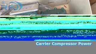 Carrier 06EF299300 Yarı Hermetik Pistonlu Kompresör